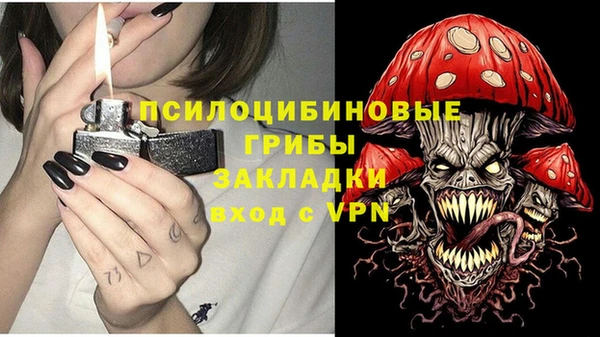 прущие крисы Алексеевка