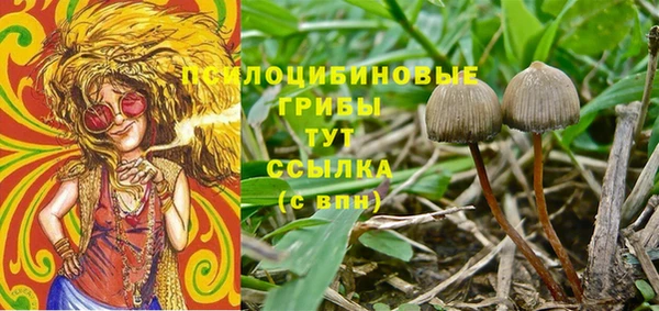 спиды Аркадак